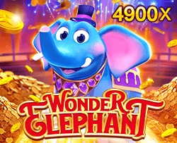 Wonder Elephant - TROPICANA77